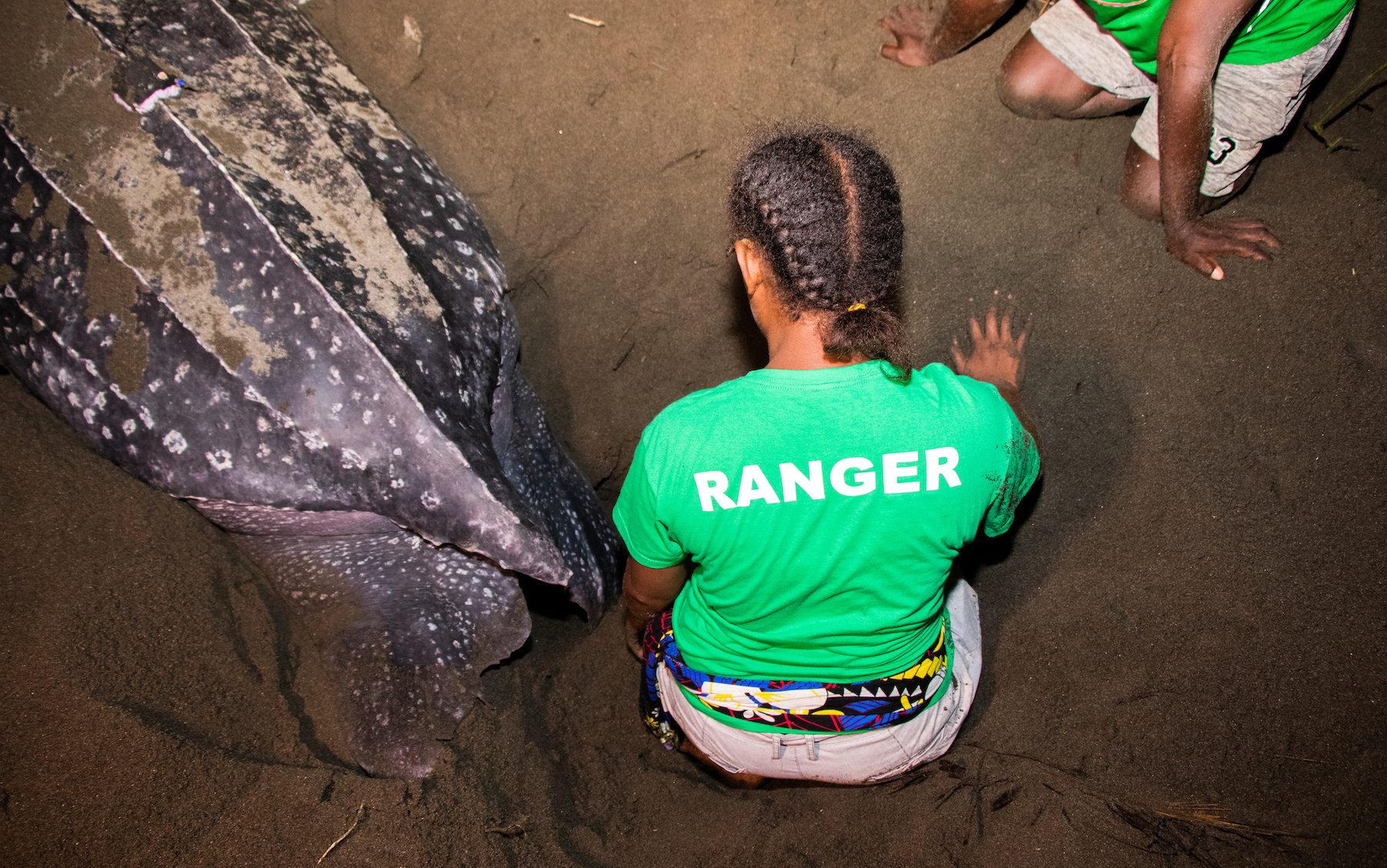 women in a green shirt with her back to the camera next to a sea turtle