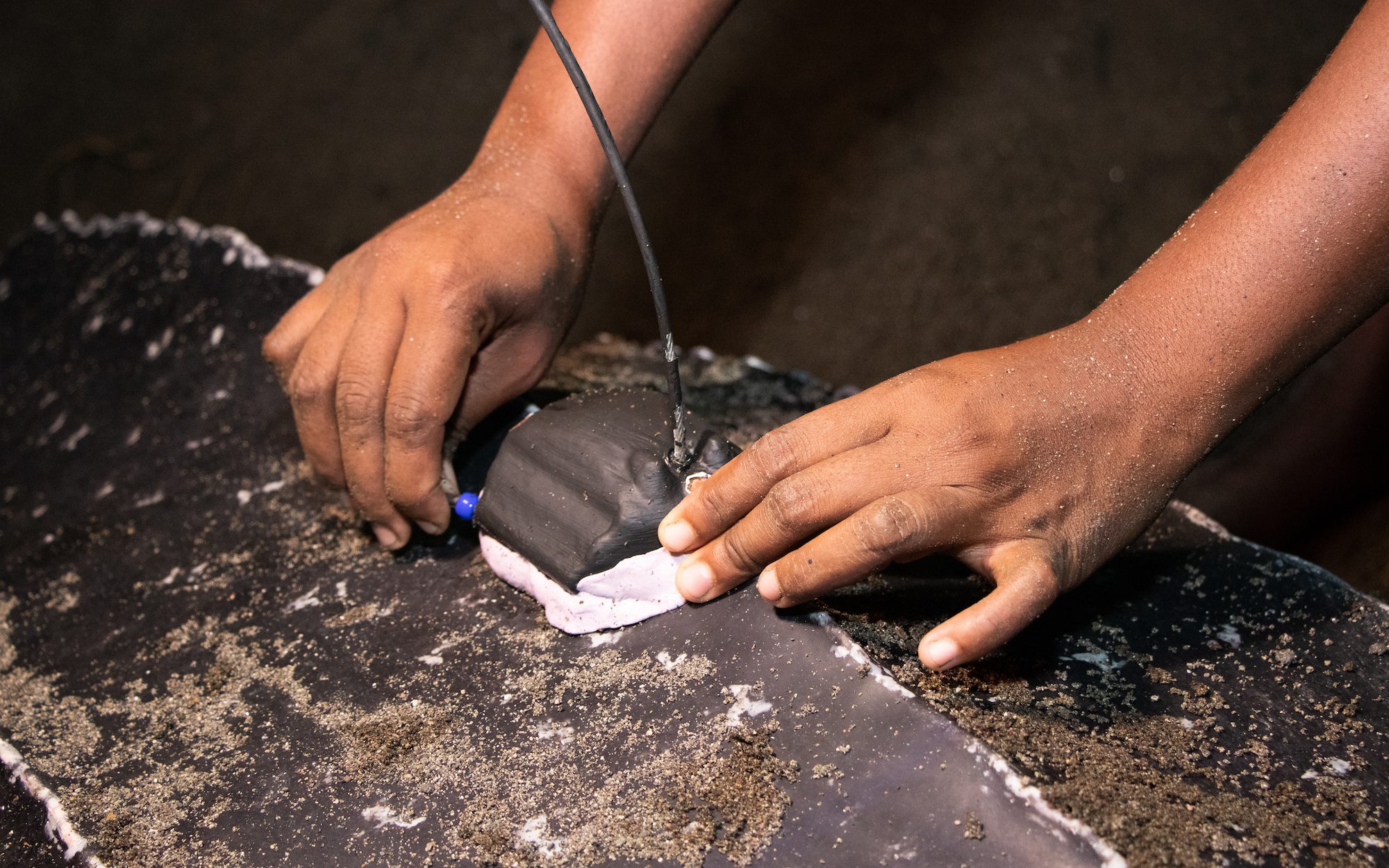 a women's hands touching a satellite tag on the turtle's back