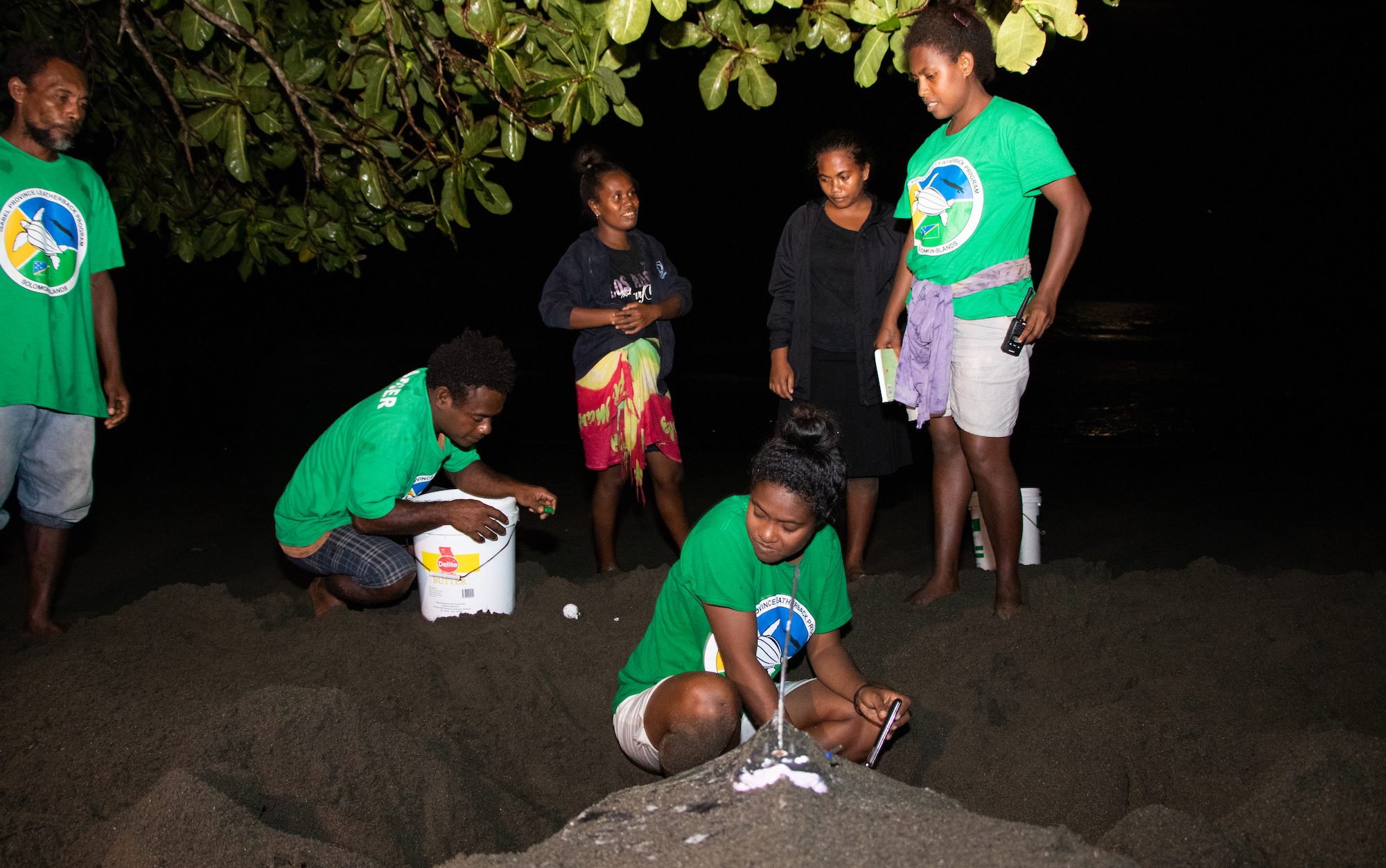 Four women and a man watching a sea turtle