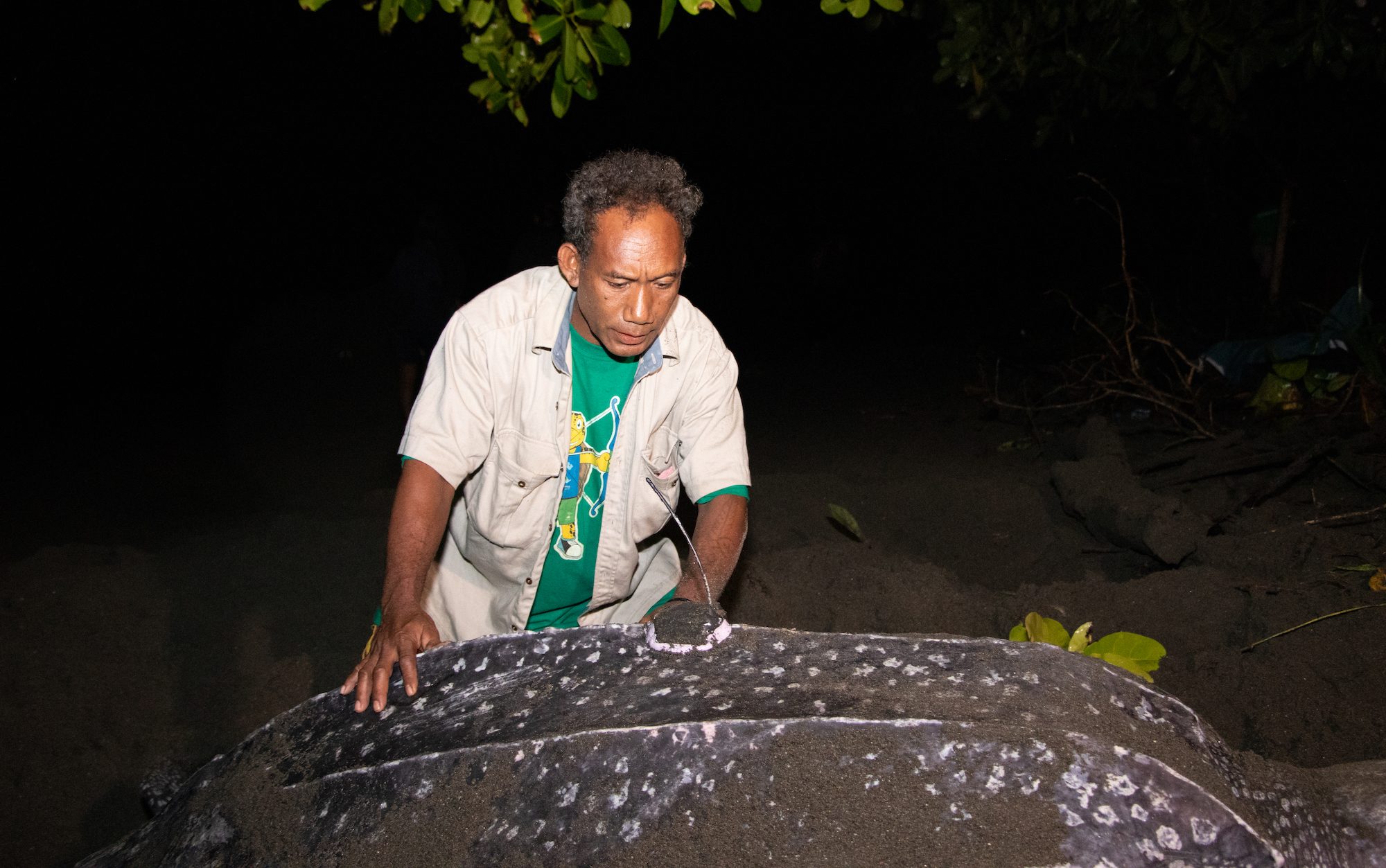 a man looking down at a turtle with a satellite tag