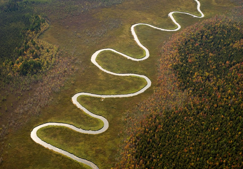 aerial view of wetlands and a river