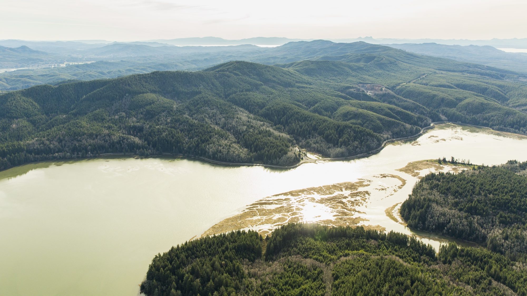 aerial view of forests and a river