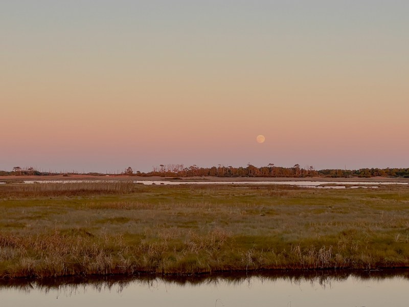 Earth Transformed: Mapping of Global Human Modification from 1990 to ...