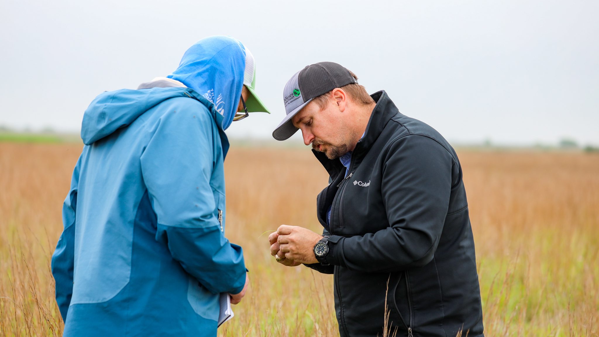 two men in a grassland