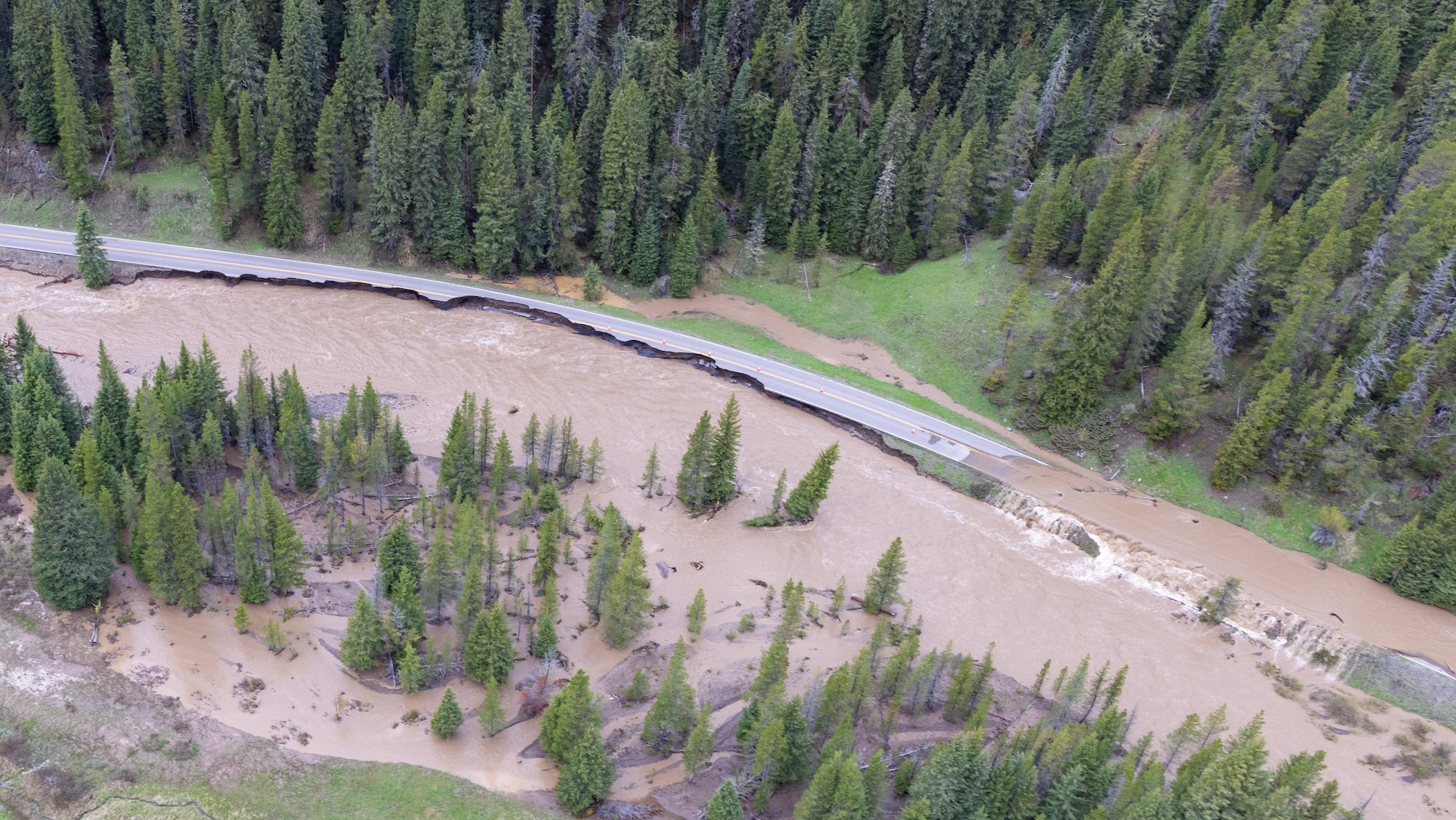 How Did Yellowstone’s Massive Flood Affect Fish?