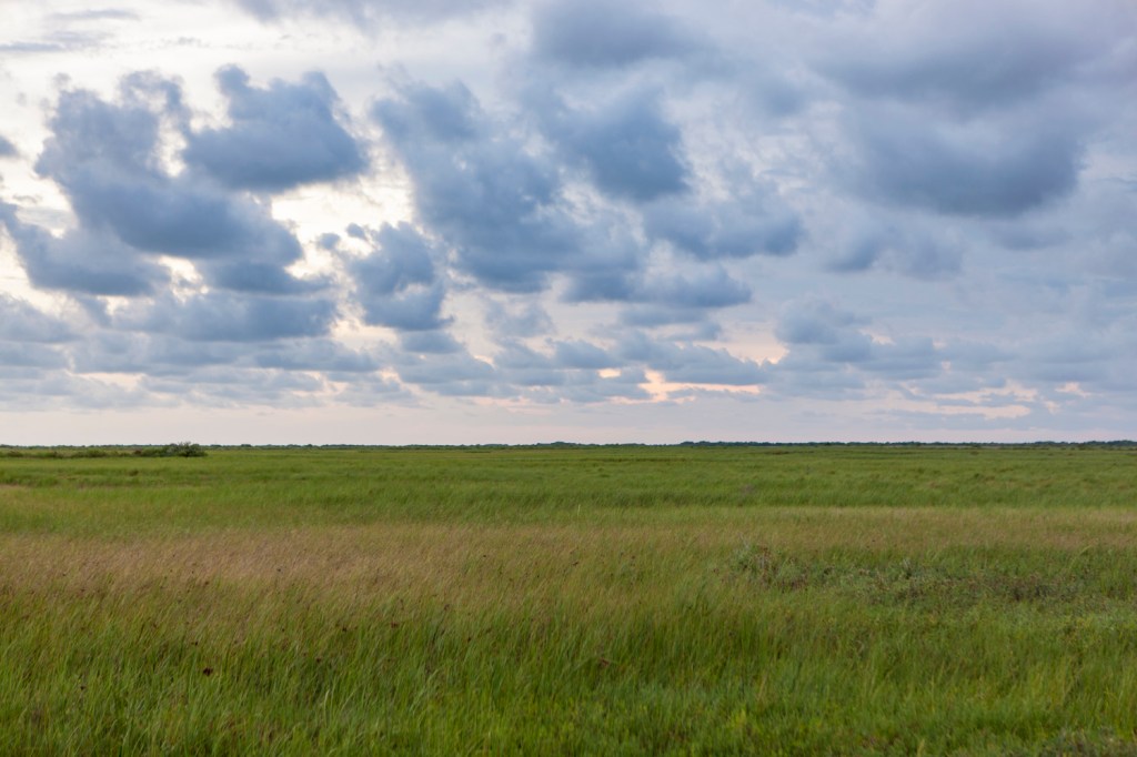Mad Island Fire Restores Prairie on the Texas Gulf Coast