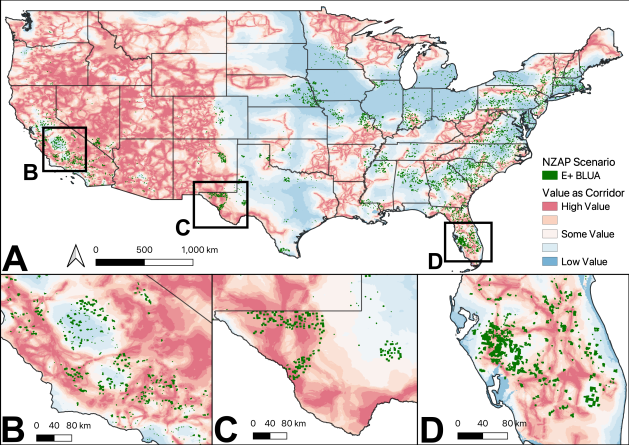 Solar Energy Development Doesn't Have to Destroy Vital Habitat