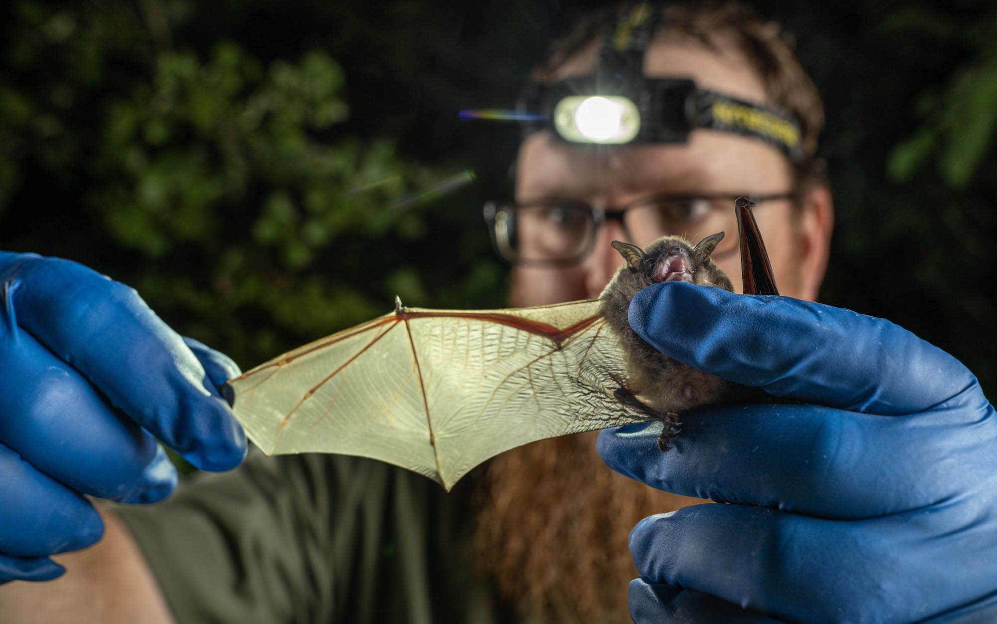 man with a head lamp holding a bat