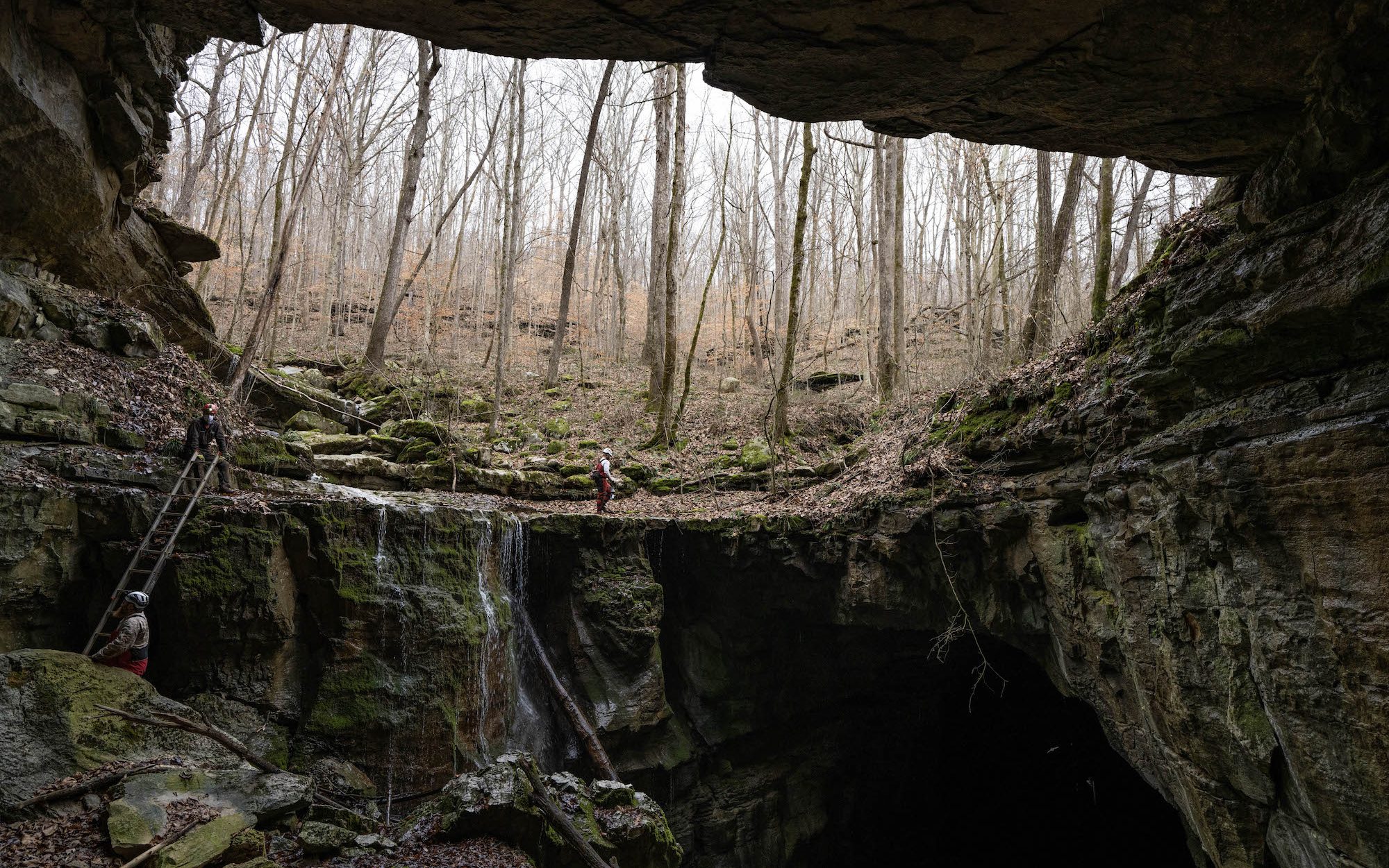 view of a forest through the opening of a cave mouth