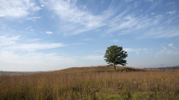 Staff and volunteers have worked for years to restore and connect native prairie at Nachusa. © Ferran Salat Coll/TNC