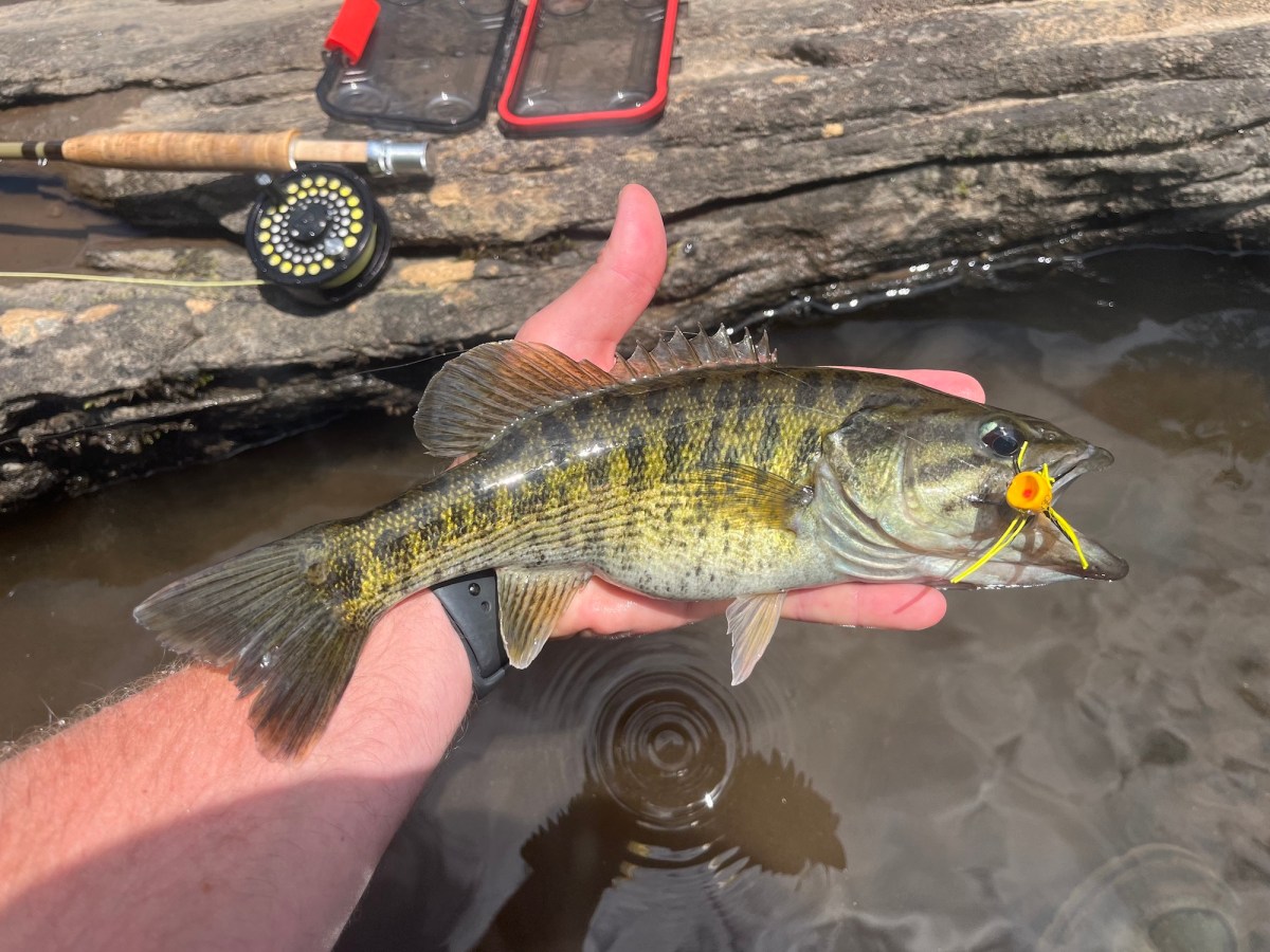 man's hand holding a fish