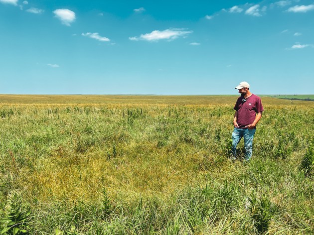 Quick and Dirty Guide to Bison as Keystone Species