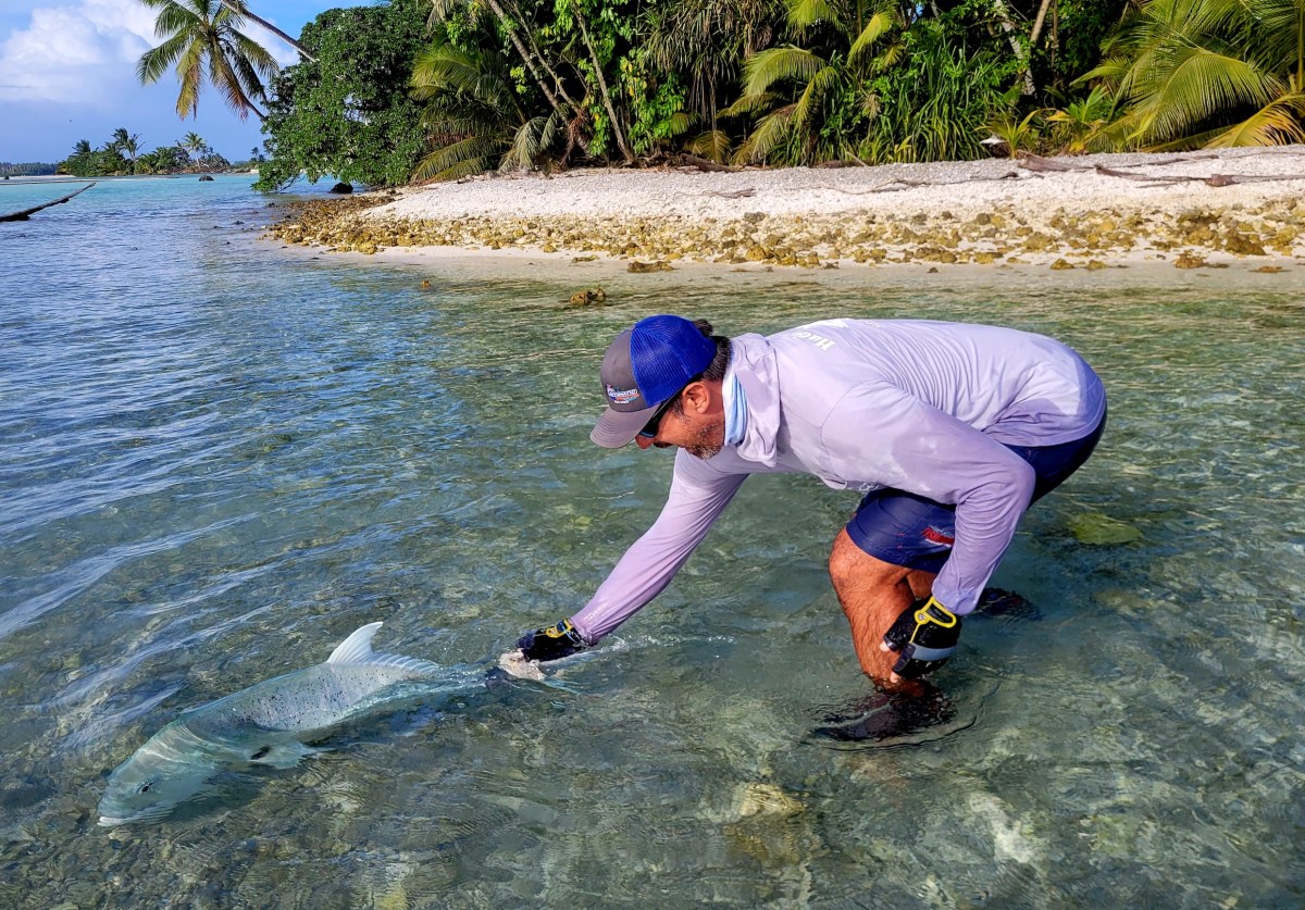 man bending down in shallow water to release fish