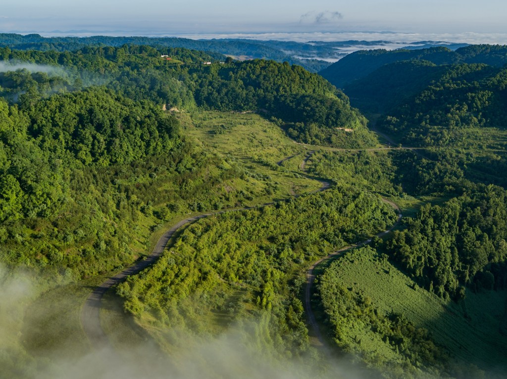 aerial photo of green hillside with cleared areas