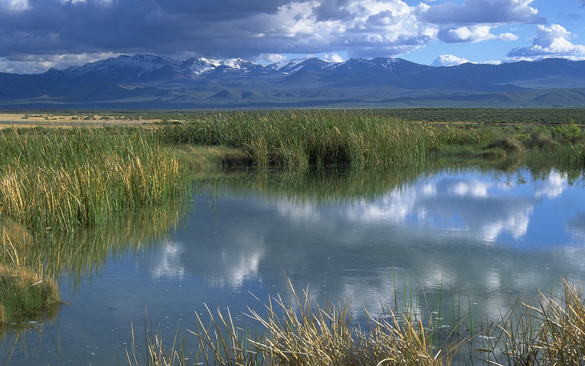 view of a pond surrounded by grass with mountains in the distance