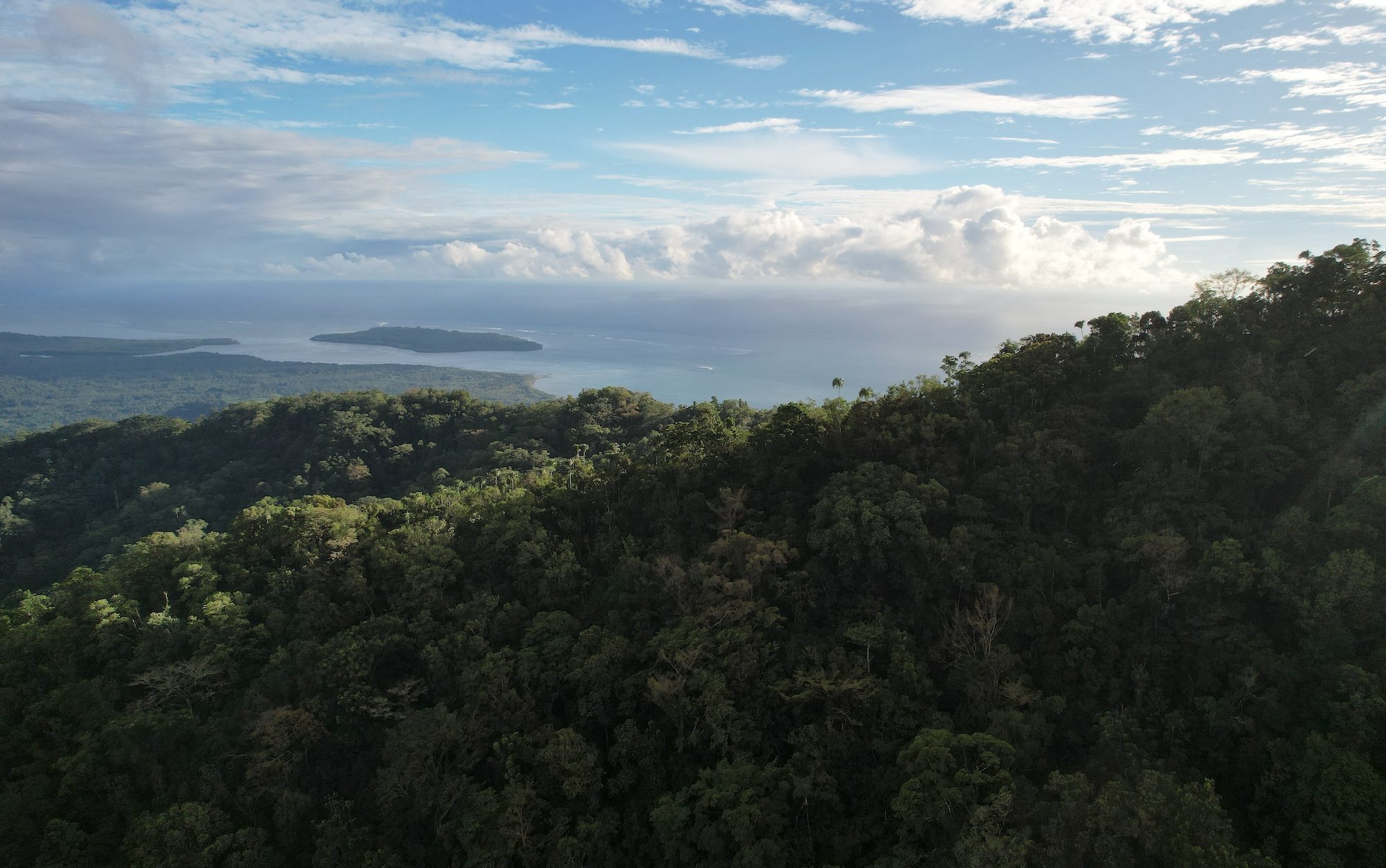view from a high vantage point overlooking mountain and sea