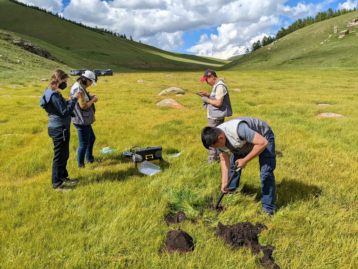 Peatlands Are One of Earth’s Most Underrated Ecosystems - Cool Green ...