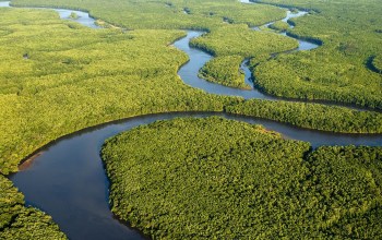 aerial view of river winding through green wetlands