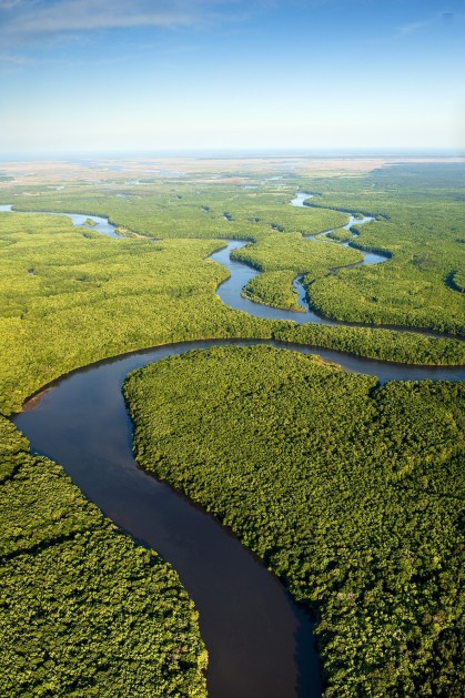 aerial view of river winding through green wetlands