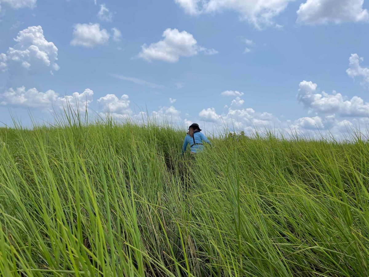 woman wading through shoulder-high grass