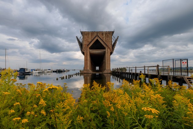 a dock with wildflowers in the foreground
