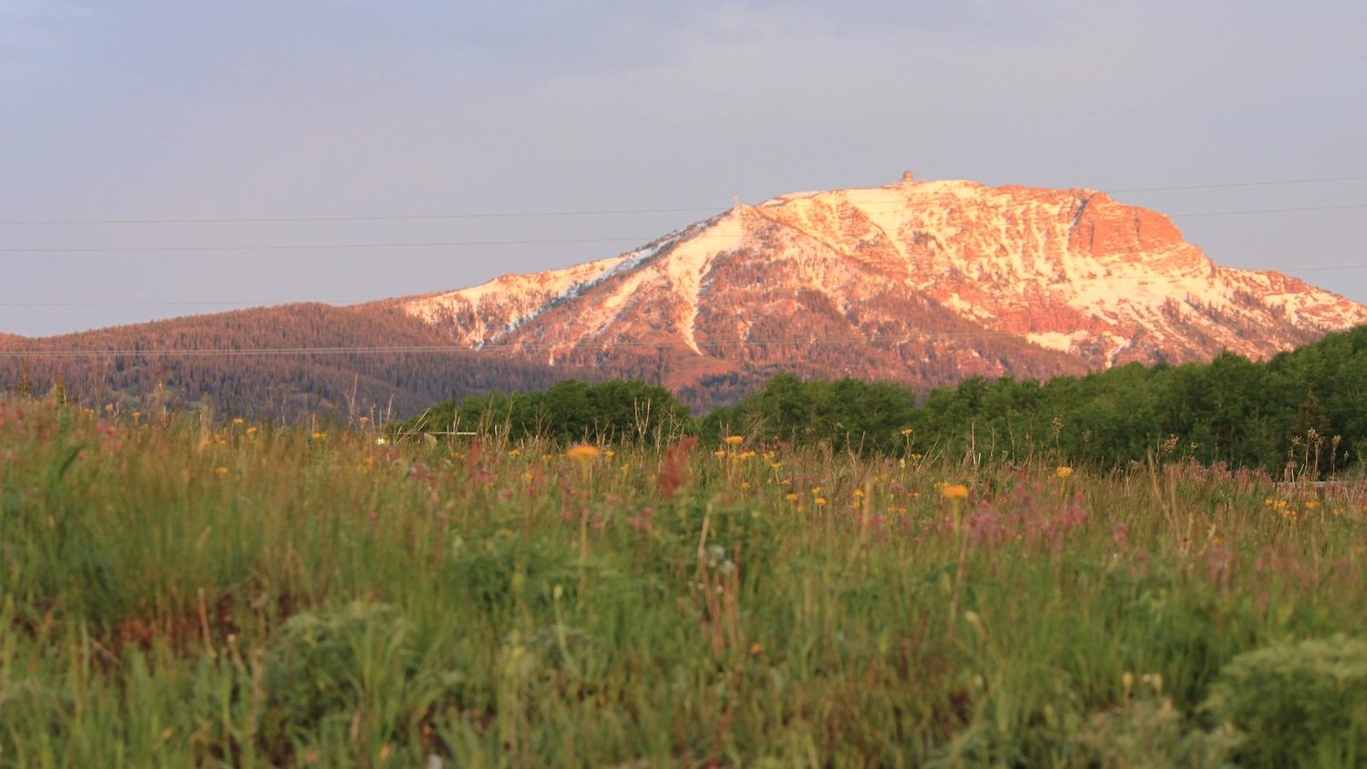 sunrise glow on a mountain with a field of flowers in the foreground