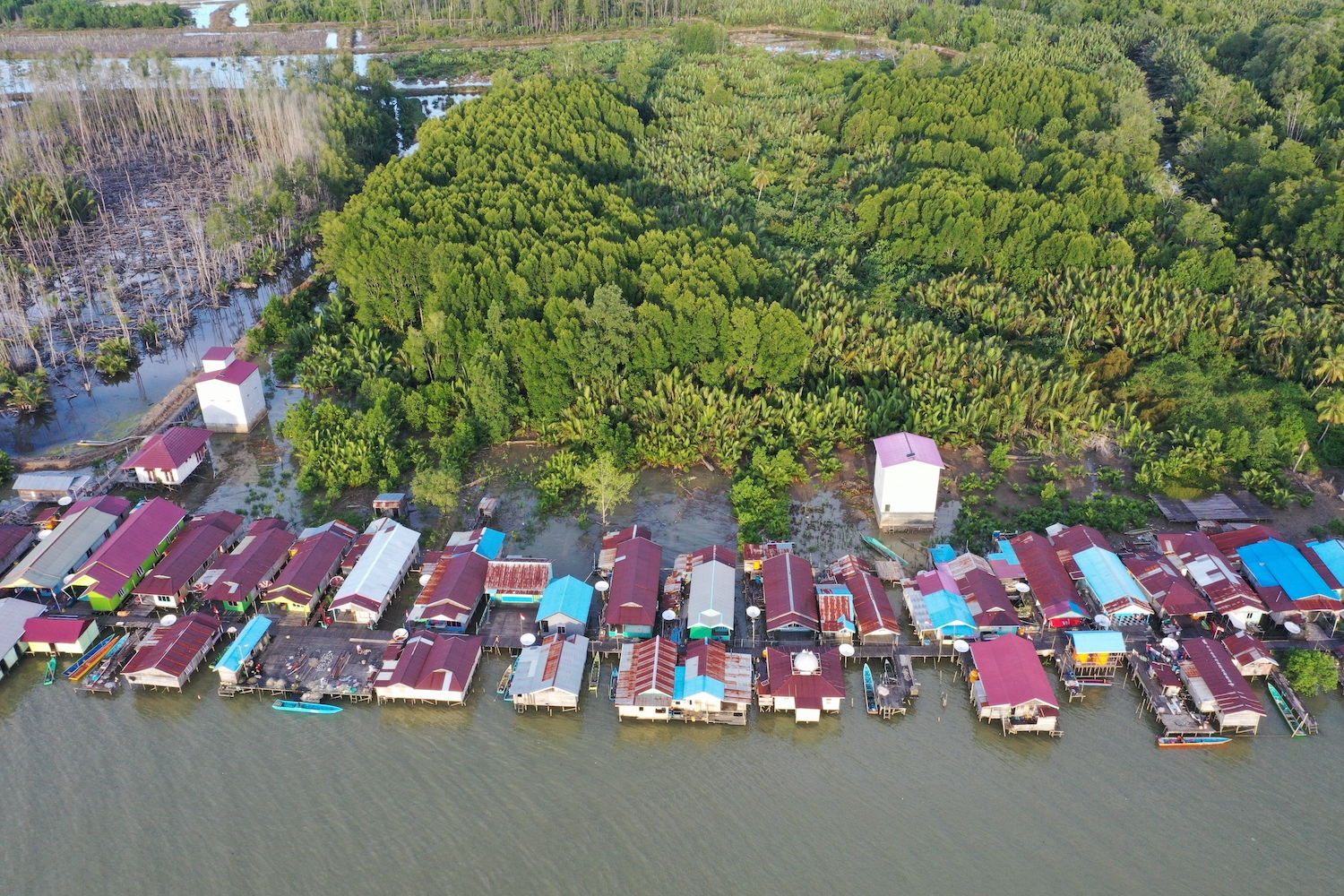 Vista aérea de casas a lo largo del agua con instalaciones de cultivo de camarones.