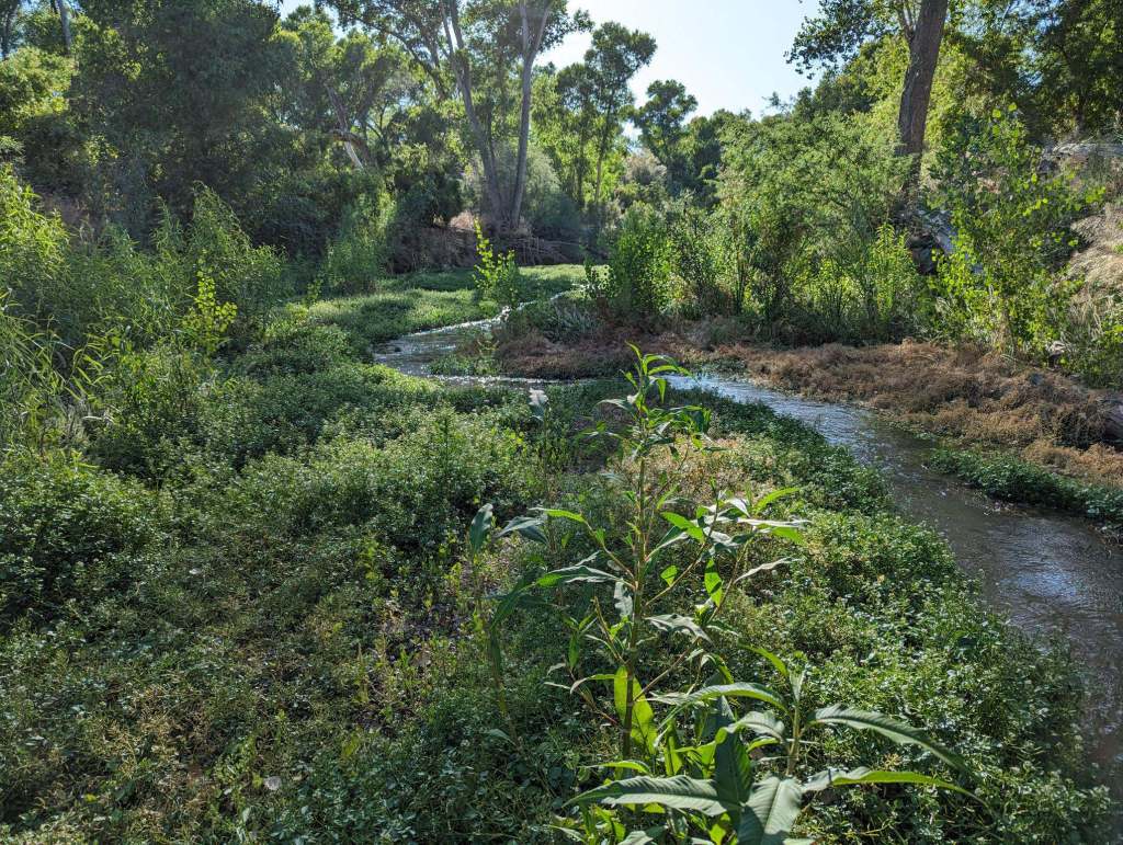 research papers groundwater