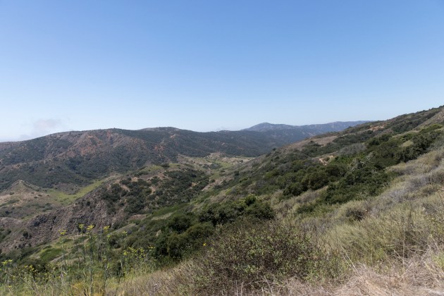 picture of the channel islands landscape