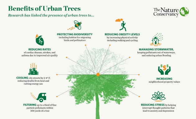 Illustration of a tree with list of benefits