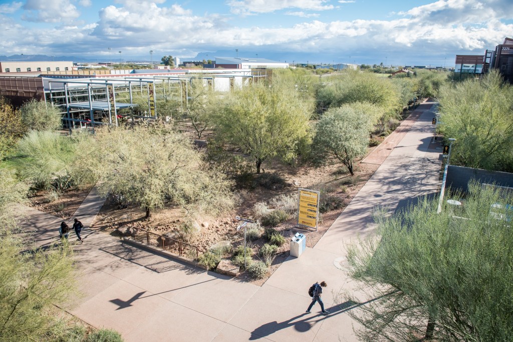 image showing trees leafed out and providing shade on an ASU urban campus