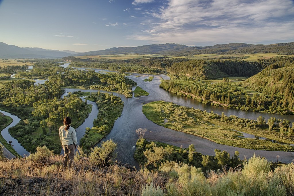 wide view of a woman standing on a bluff overlooking a braided river