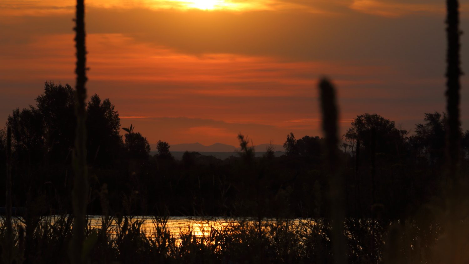 vista del atardecer de un río