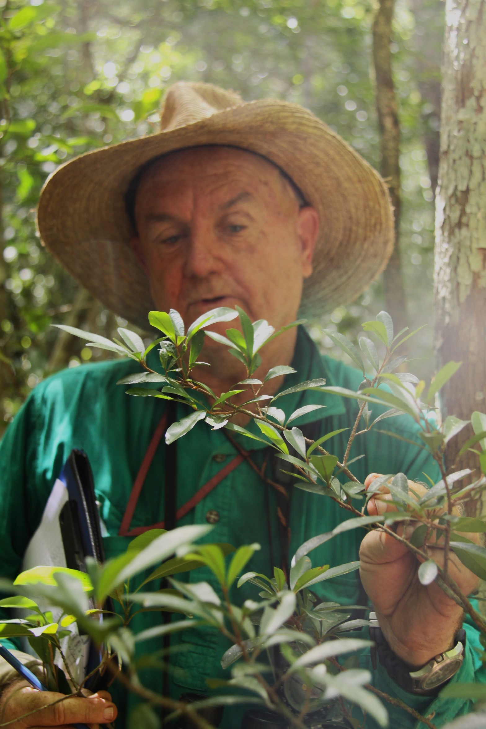 A Day in the Life of a Field Scientist: Cape York Edition - Cool Green ...