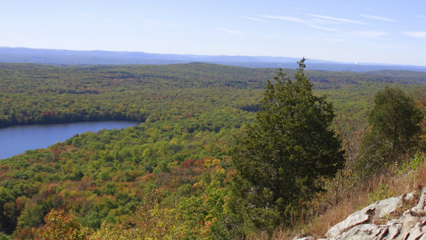 view of a forest and lake from a high vantage point