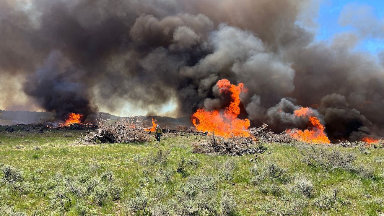 prescribed burn with flames in the air