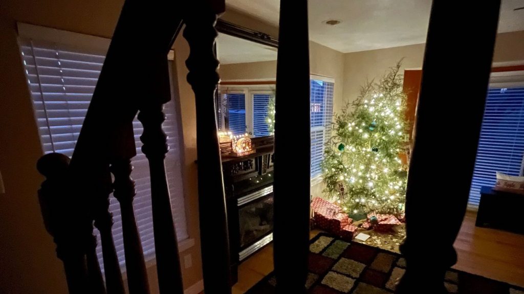 Lit Christmas tree viewed through stair railings