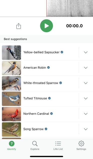 Screenshot of a list of bird species the Merlin App heard with its Sound ID function.