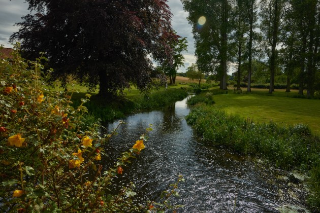 View looking down a river with yellow flowers in the foreground.