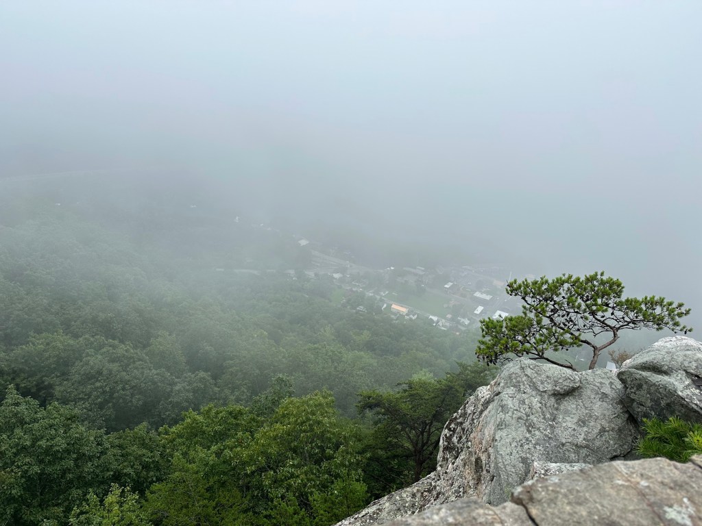 View of fog, forests and small town in the distance