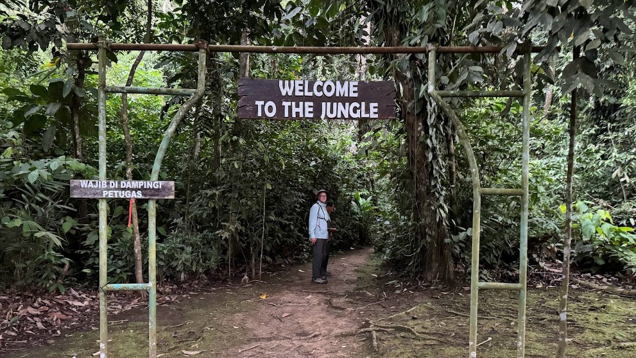 A man walking into the forest beneath a sign that says "Welcome to the Jungle"