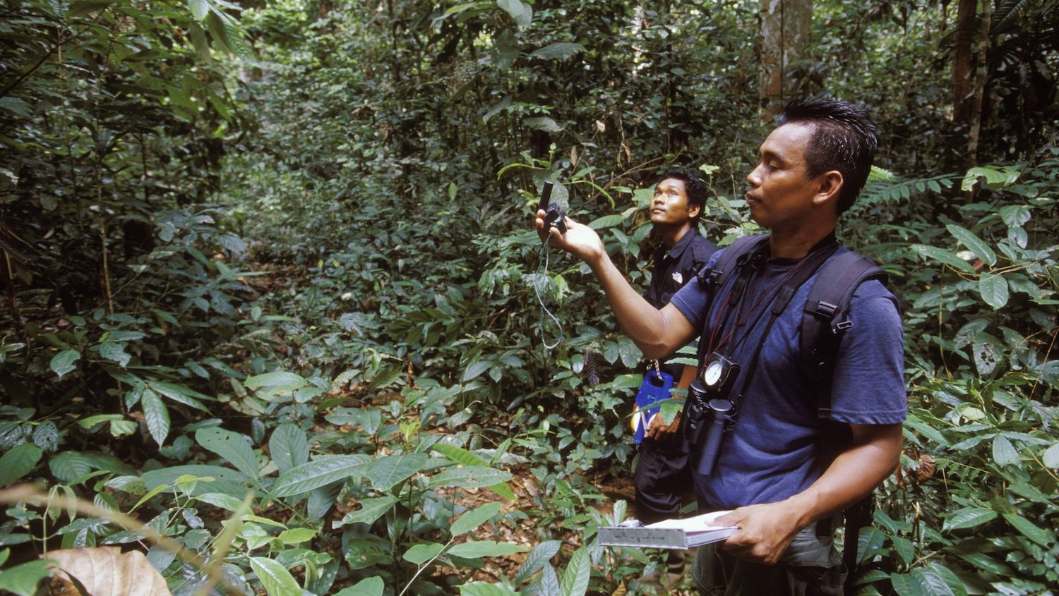 Two men in the forest holding up a scientific device. 