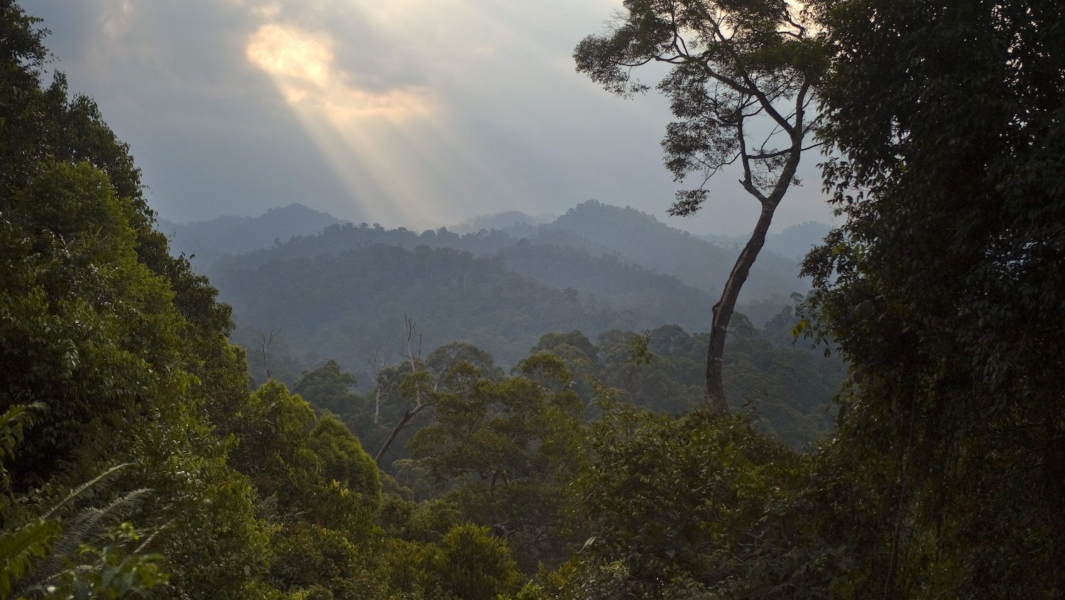 Sunlight filtering through the clouds with rainforest in the distance. 