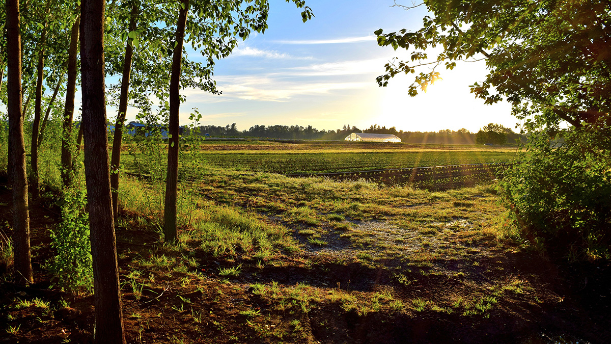image of farm fields with green house