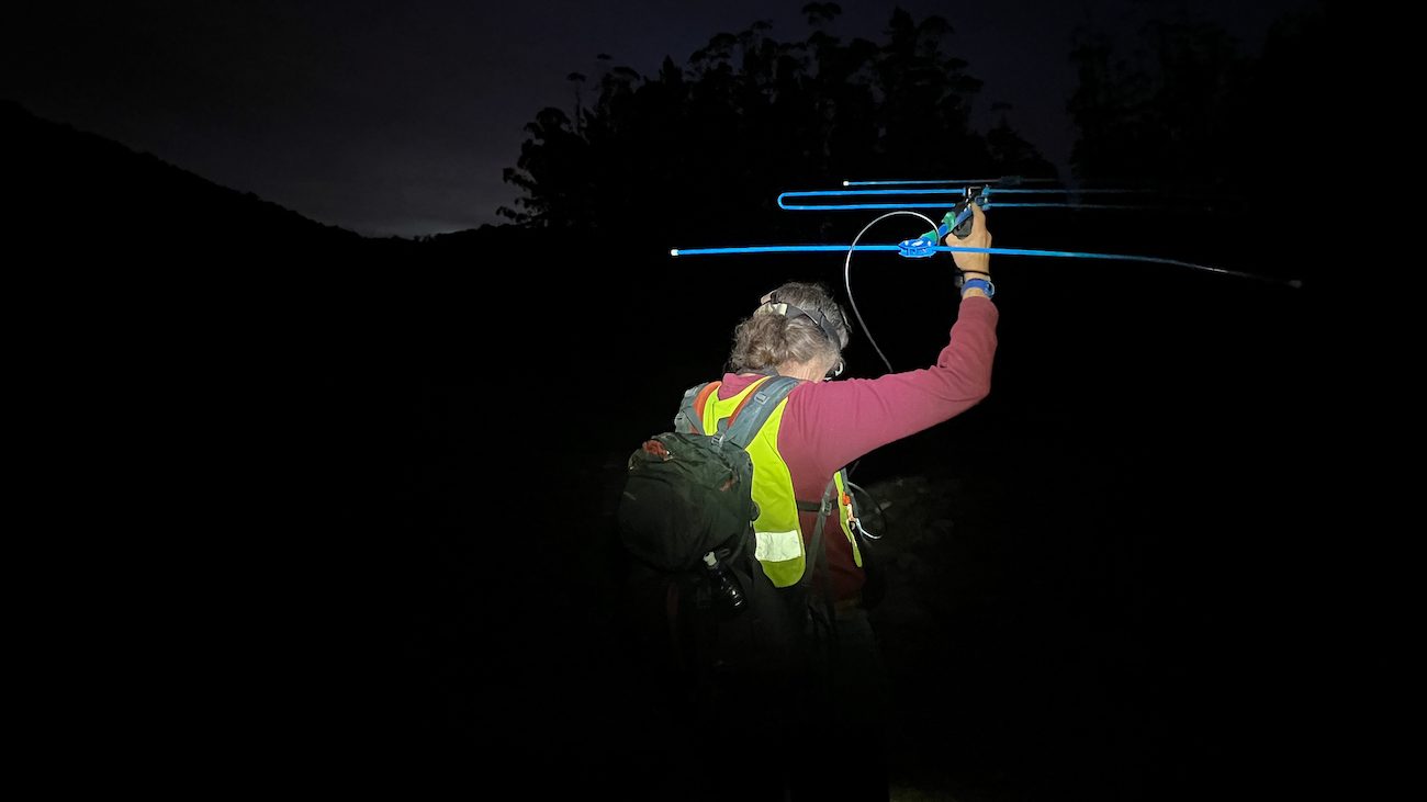 A woman wearing a red shirt and yellow vest stands holding a large blue antenna. The photo is taken at night. 