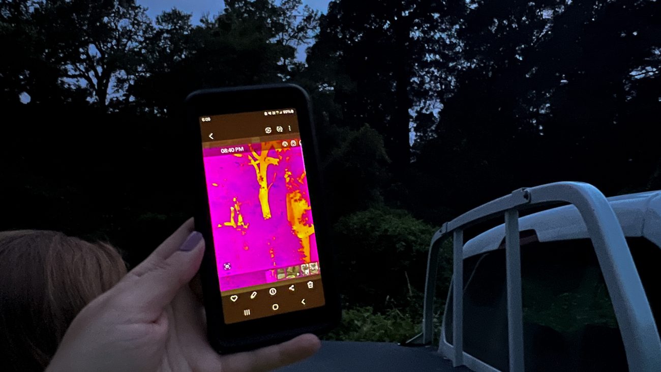 A hand holds up a phone against the dark silhouettes of trees. On the phone is am image of the same trees in yellow and magenta, as if viewed through a thermal scope. 