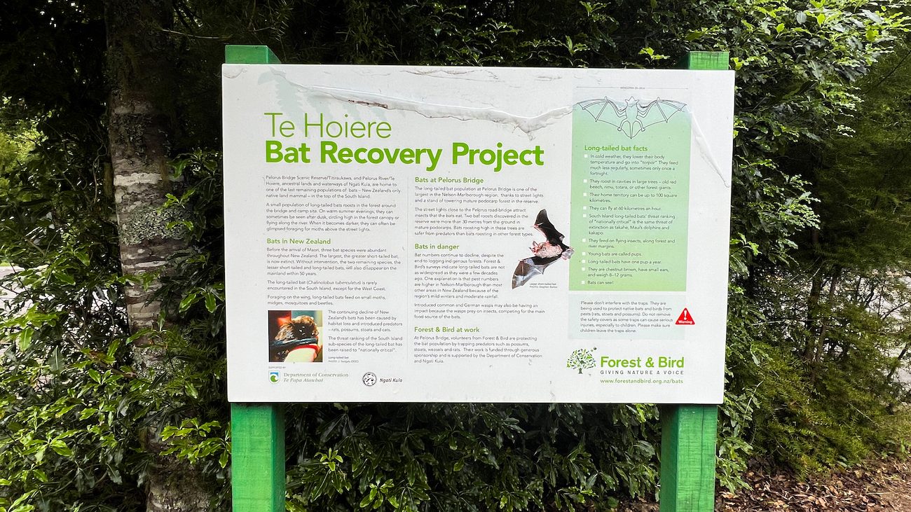 A sign reading Bat Recovery Project with images of bats. 