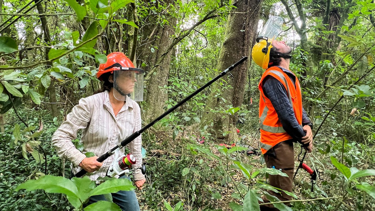 Two people wearing safety helmets stand in the forest. One is looking up to the sky and the other holds a fishing rod.