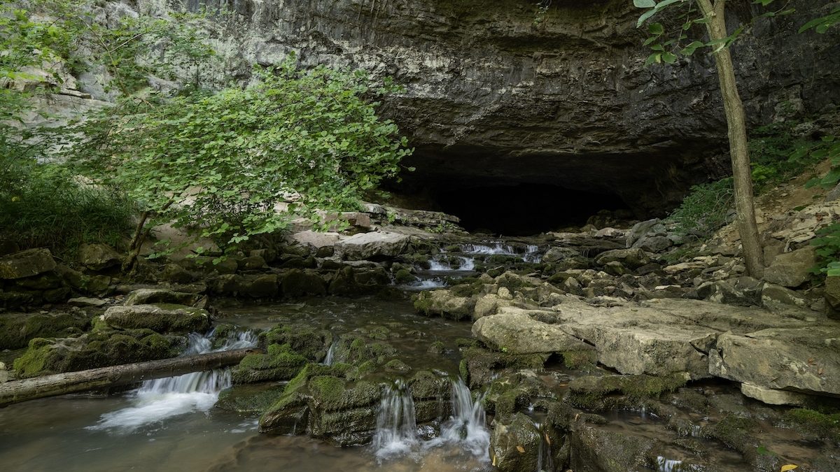 The entrance to a cave. There is a tree growing at the entrance, and a small waterfall in front of the cave.