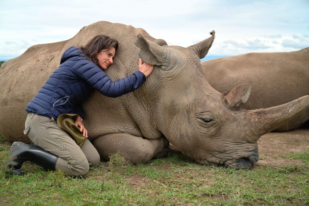 A woman in a blue puffer jacket and khaki pants knees down to embrace a rhinoceros, which is also kneeling.